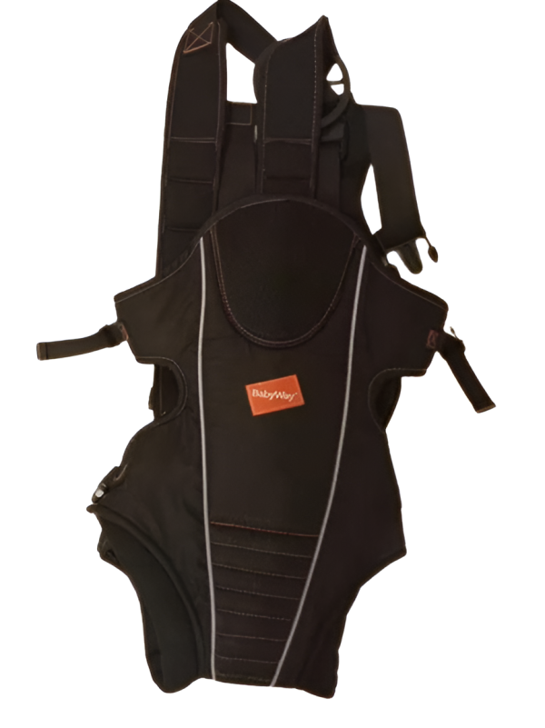 Baby Carrier With Multiple Positions